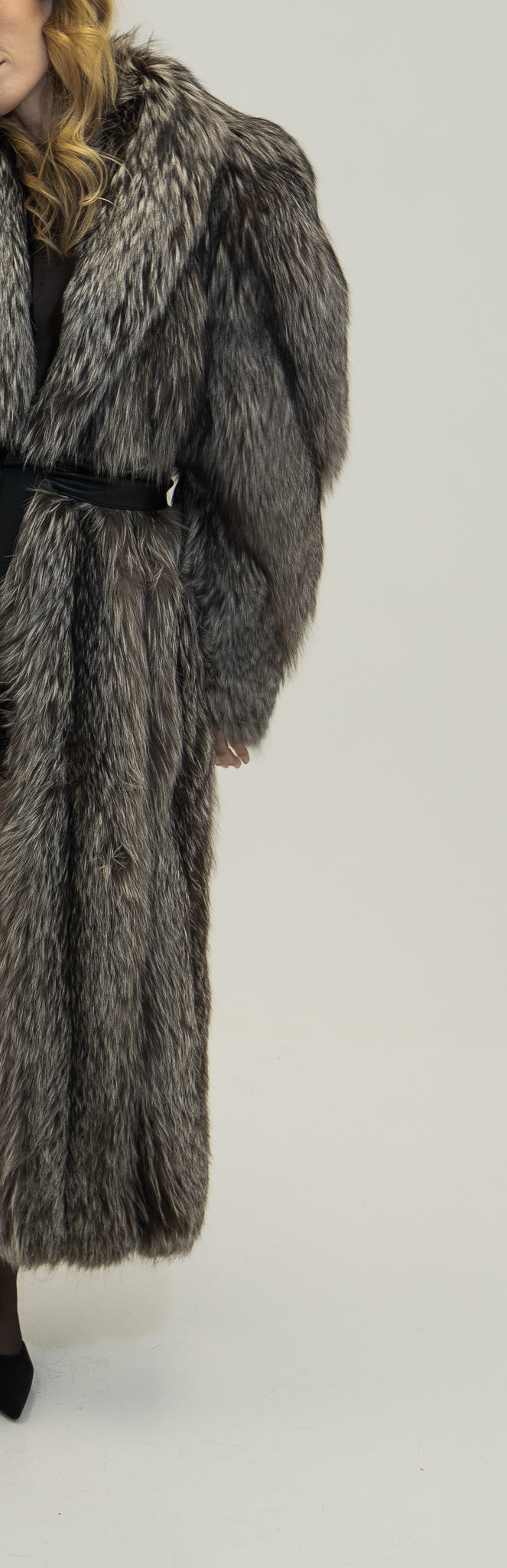 The Argent - Silver fox