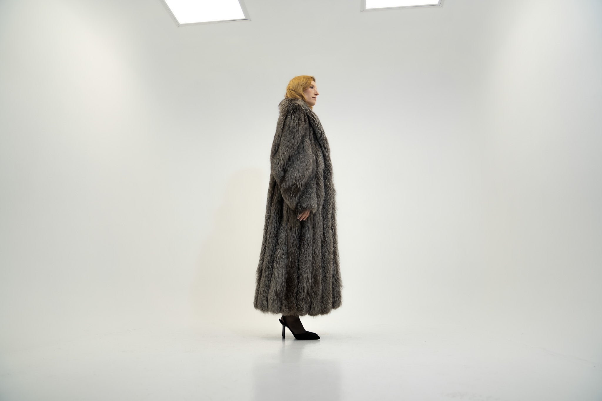 The Argent - Silver fox