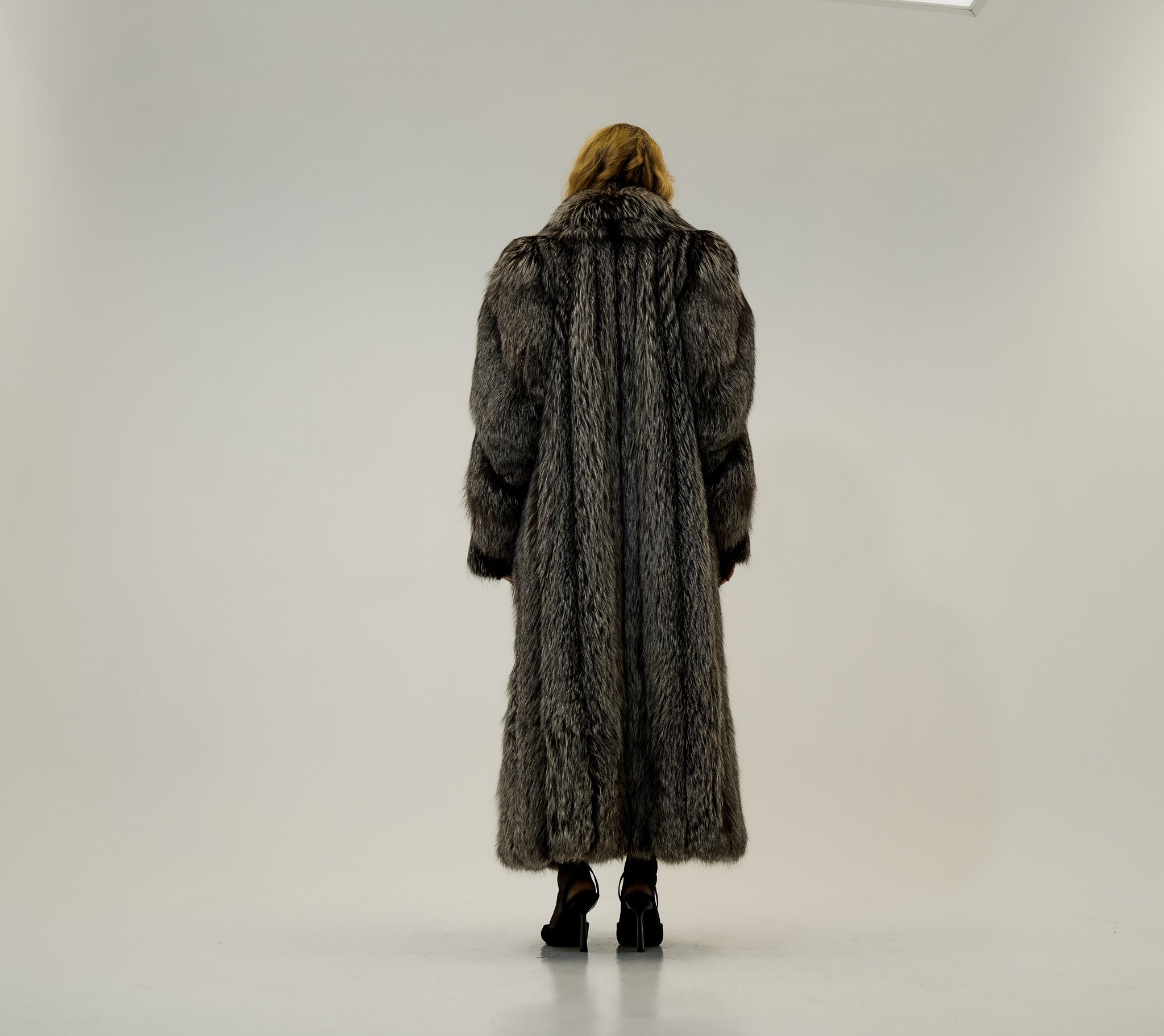 The Argent - Silver fox