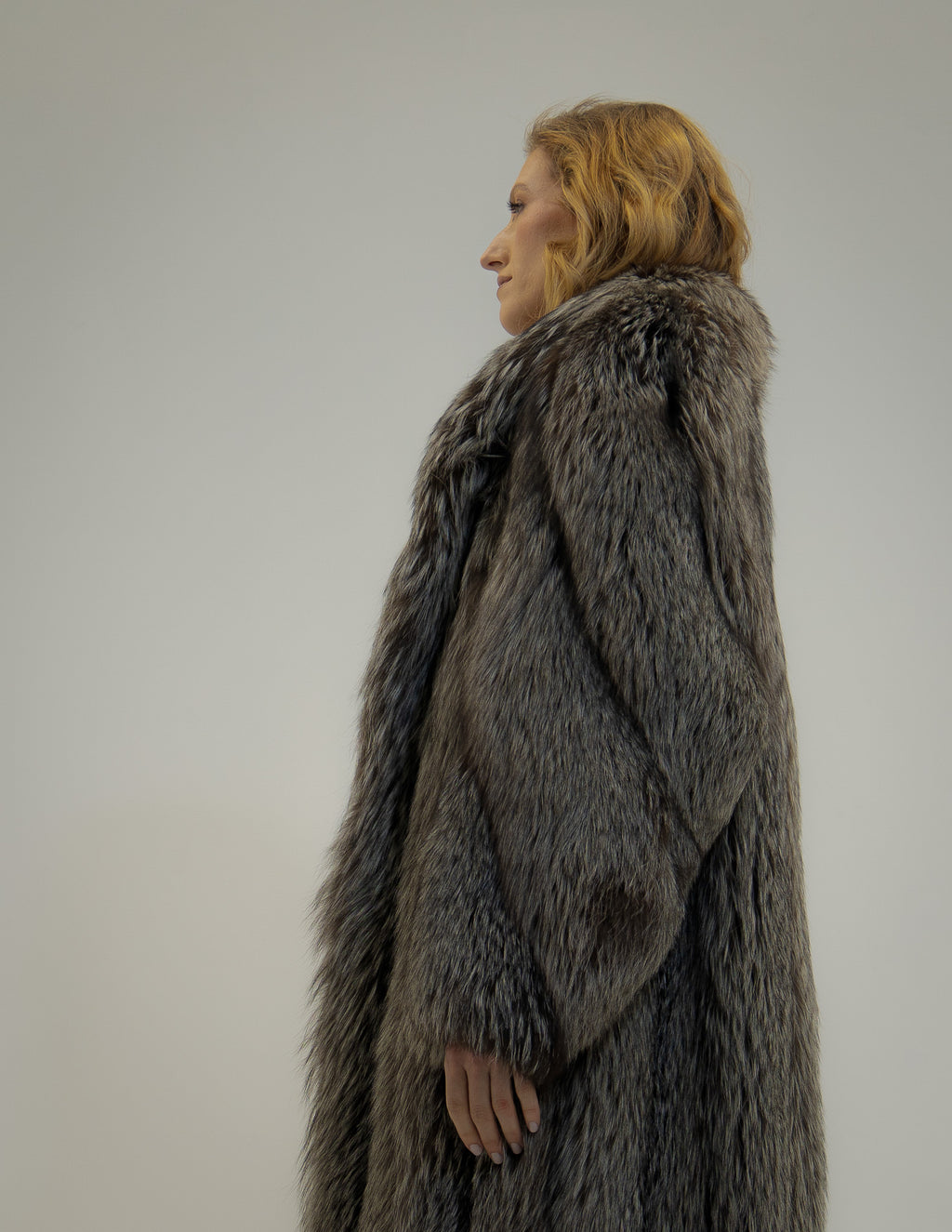 The Argent - Silver fox