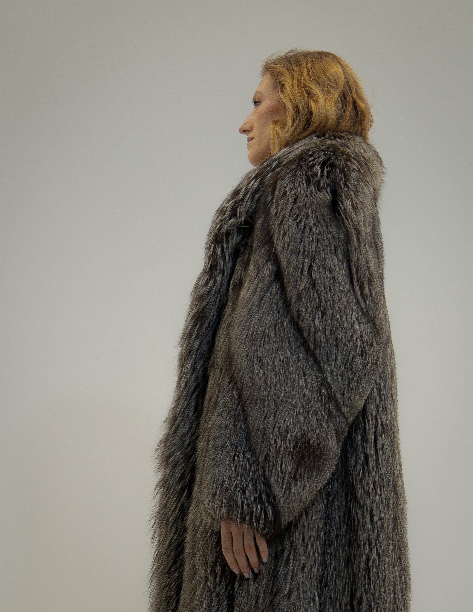 The Argent - Silver fox