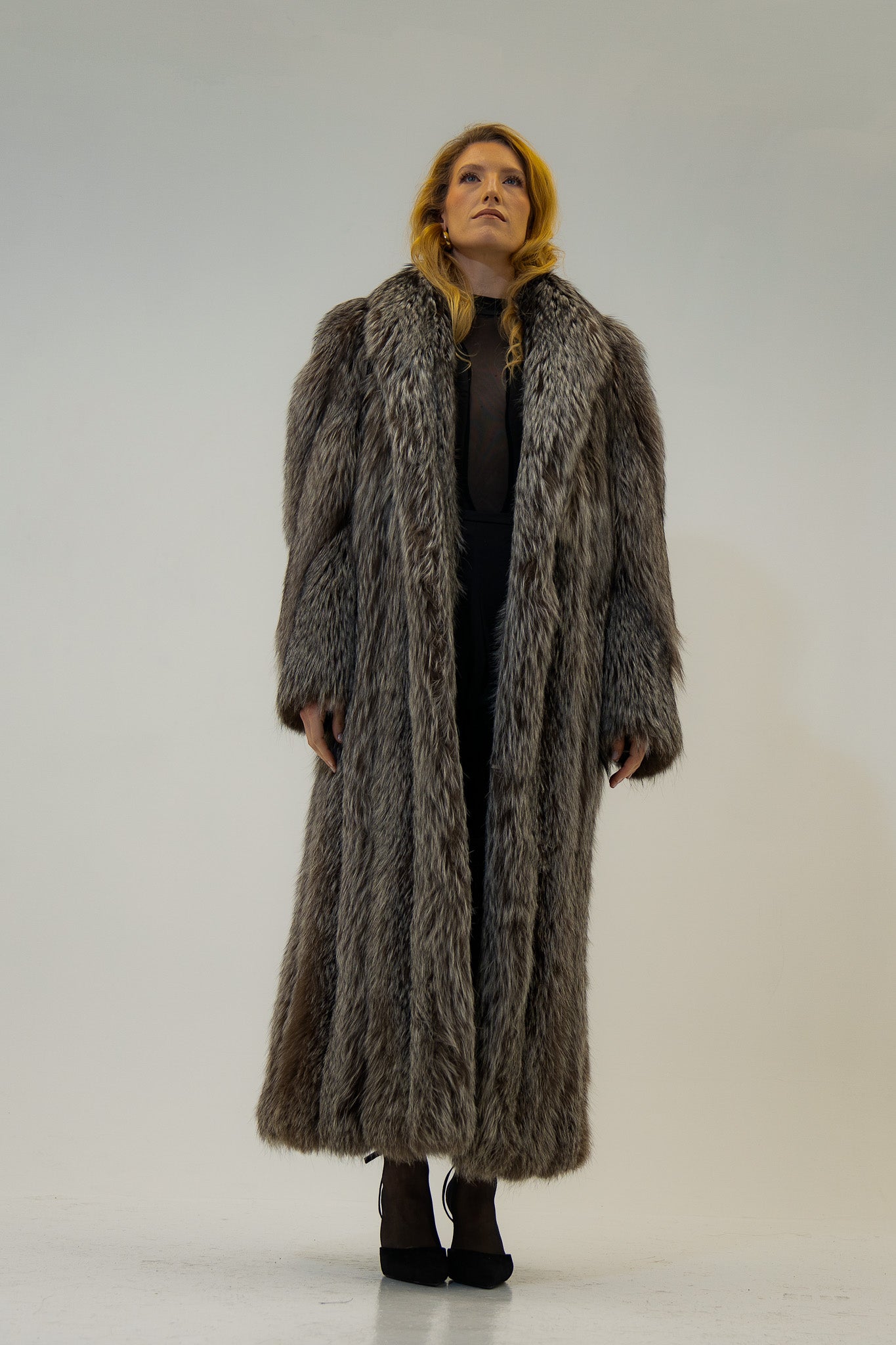 The Argent - Silver fox